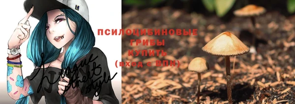 крисы Ельня