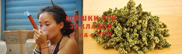 крисы Ельня