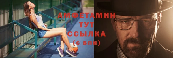 крисы Ельня