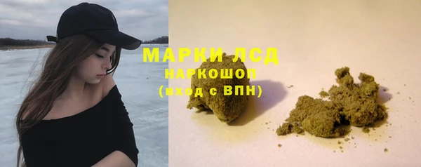 крисы Ельня