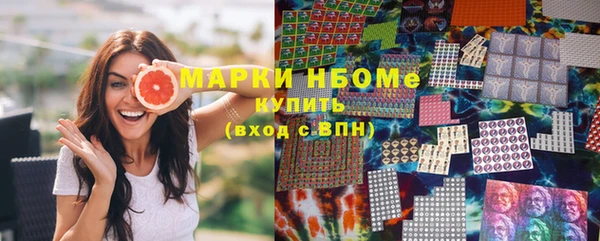 крисы Ельня