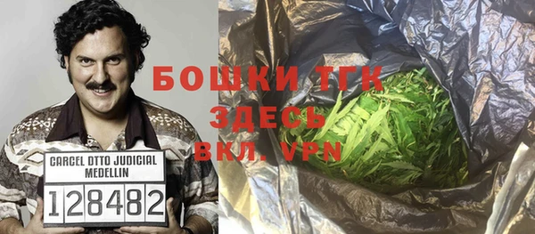 крисы Ельня