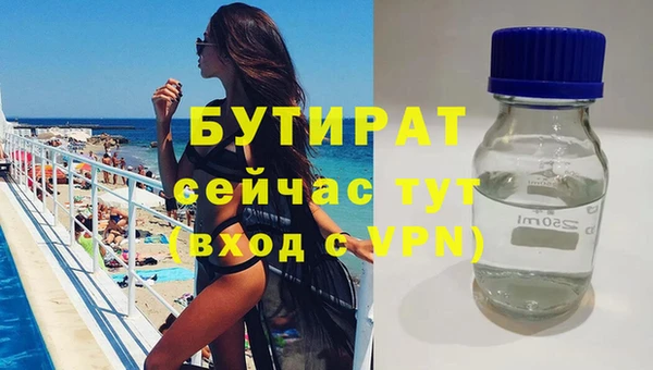 крисы Ельня