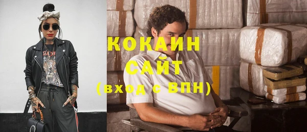 крисы Ельня